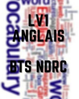Fiche anglais LV1 BTS NDRC